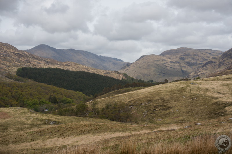 Roaming around Moidart