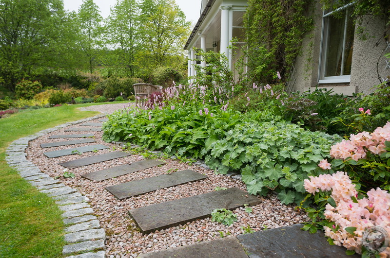 The garden path out back