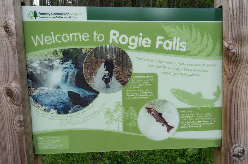 Arriving to the Rogie Falls hike