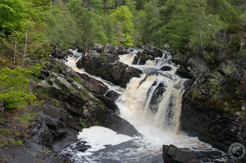 Close-up of Rogie Falls