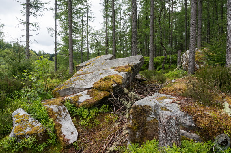 Broken rocks exposed and covered in lichen