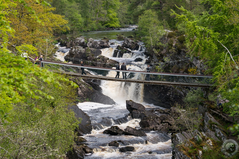 Rogie Falls from Raven's Crag