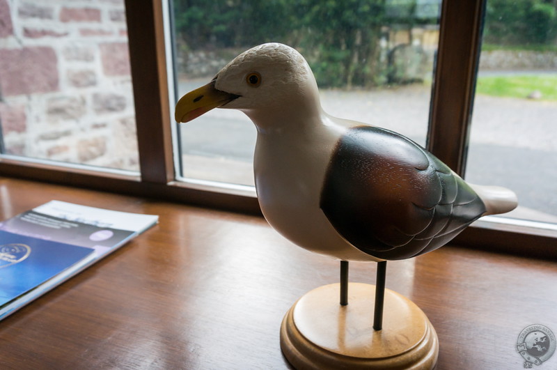 A friend in the windowsill