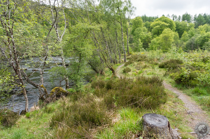 The river in sight and the falls in earshot