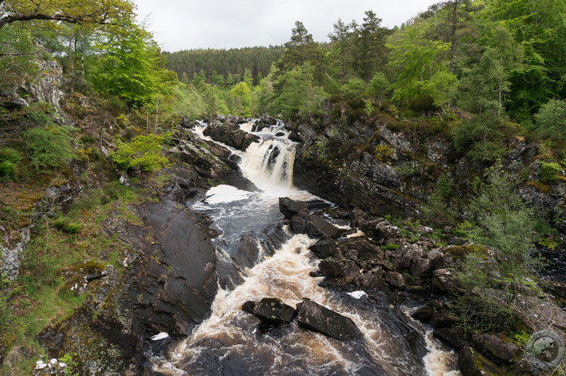 Rogie Falls