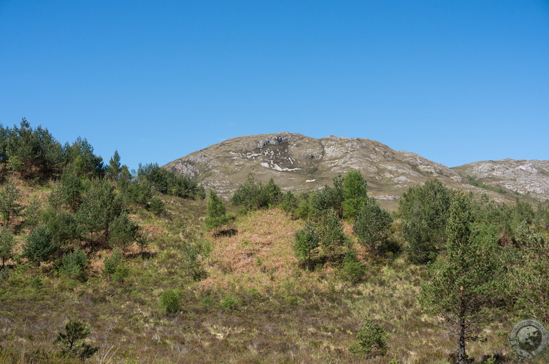 One of Beinn Eighe's peaks