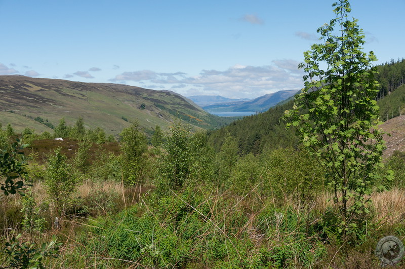 Gorgeous views from Corrieshalloch Gorge