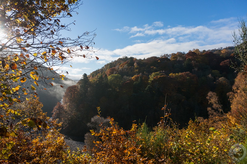 Misty autumn morning