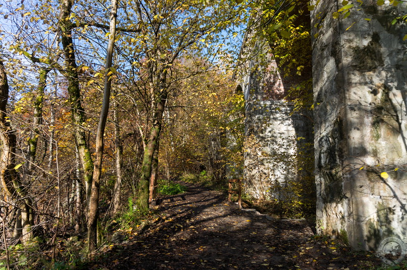 Beneath the viaduct