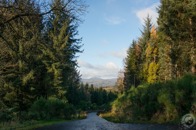 The view from Cuil-an-Duin's drive