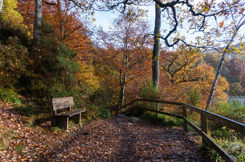 Autumn colors and beautiful views