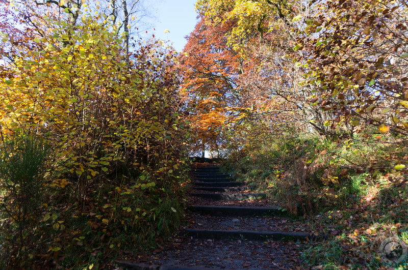 Climbing Killiecrankie's steps