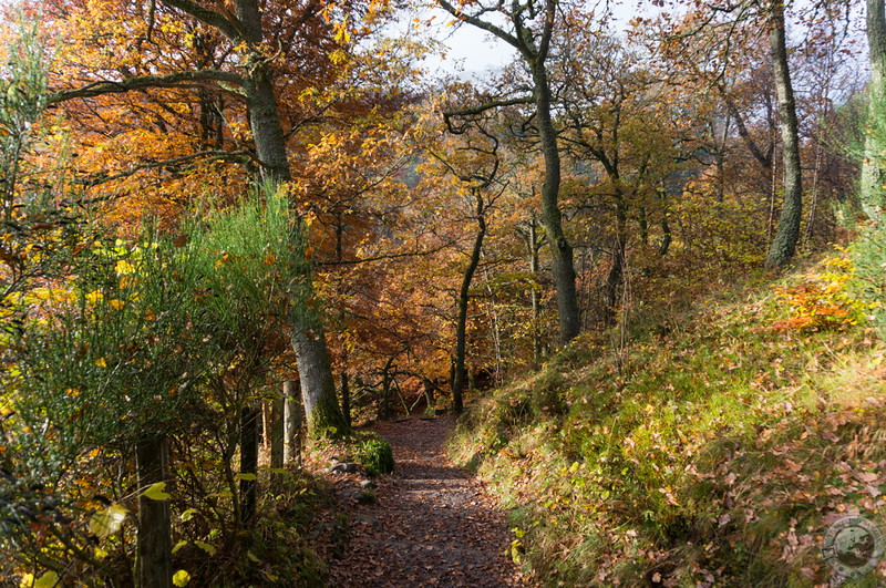 Descending from the visitor's centre