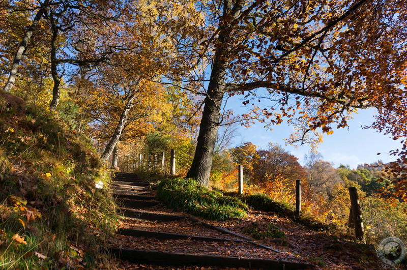 Climbing Killiecrankie's steps