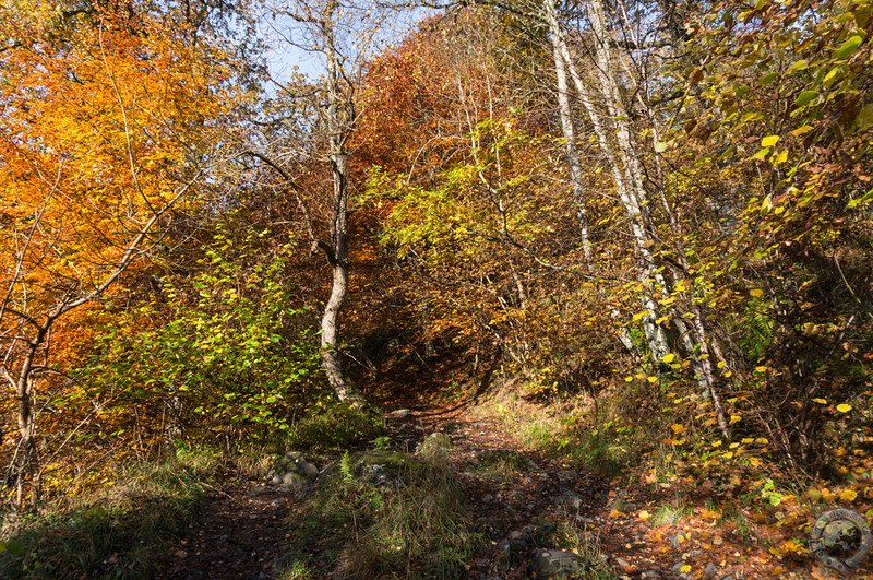 Ascending from the gorge