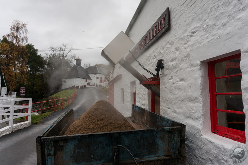 Livestock feed