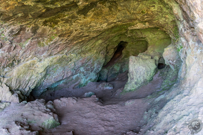 Inside the Bone Caves