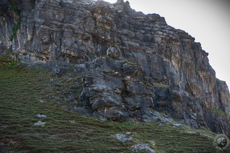 The stone giant close-up