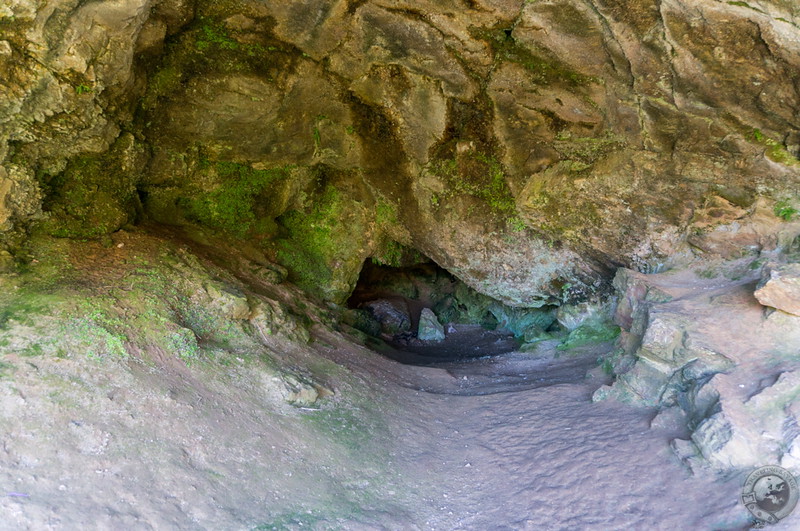 Inside the Bone Caves