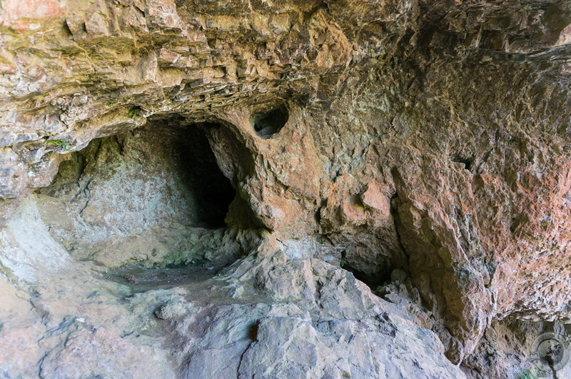 Inside the Bone Caves