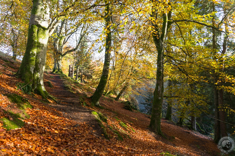 Perthshire in autumn -- beautiful!