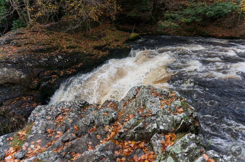 At the fall