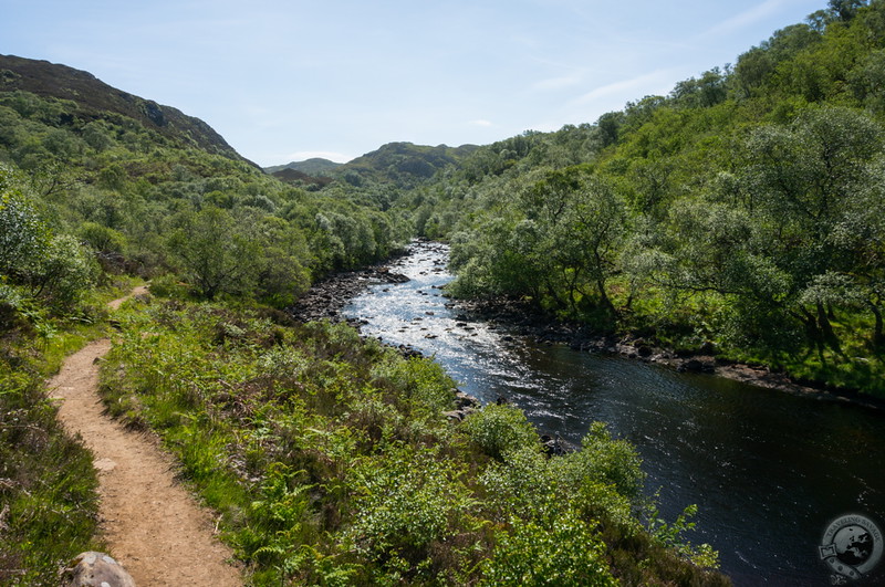 Further into the glen