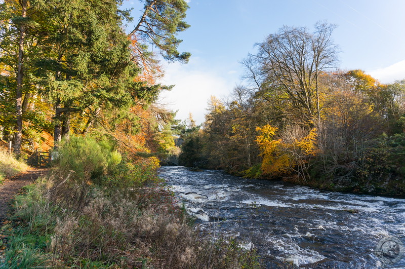 The start of the trail to the Reekie Linn
