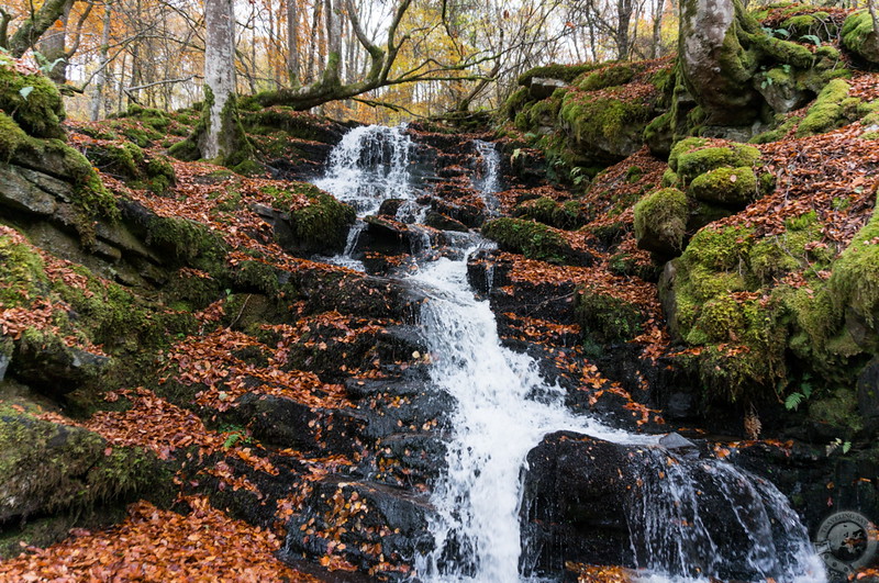 Rushing waters