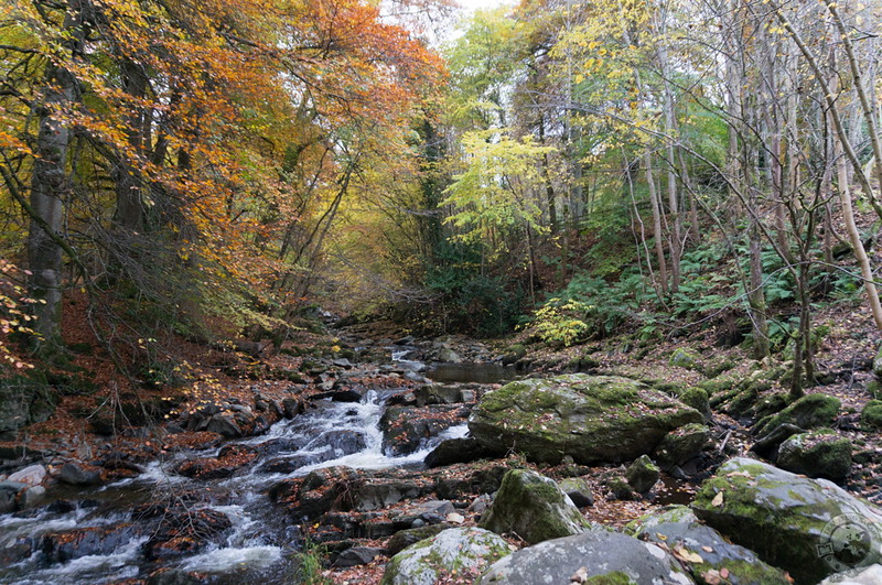 Rocky riverbeds