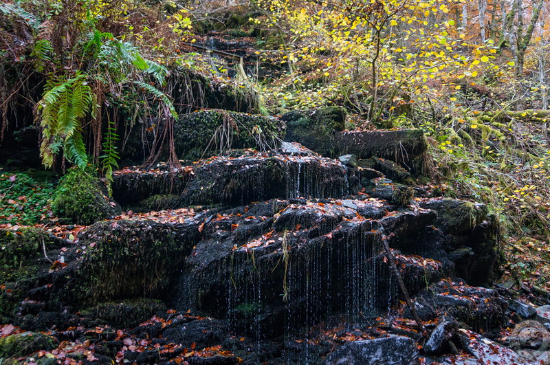 Tiny waterfalls