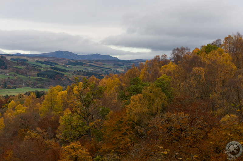 The view of Perthshire!