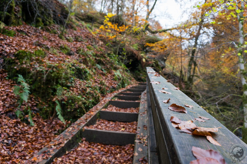 Climbing the hillside