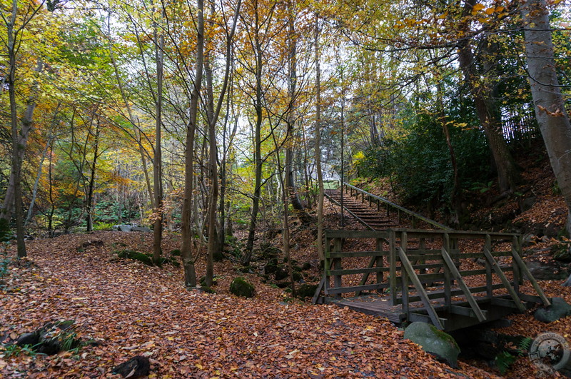 Autumn in Perthshire