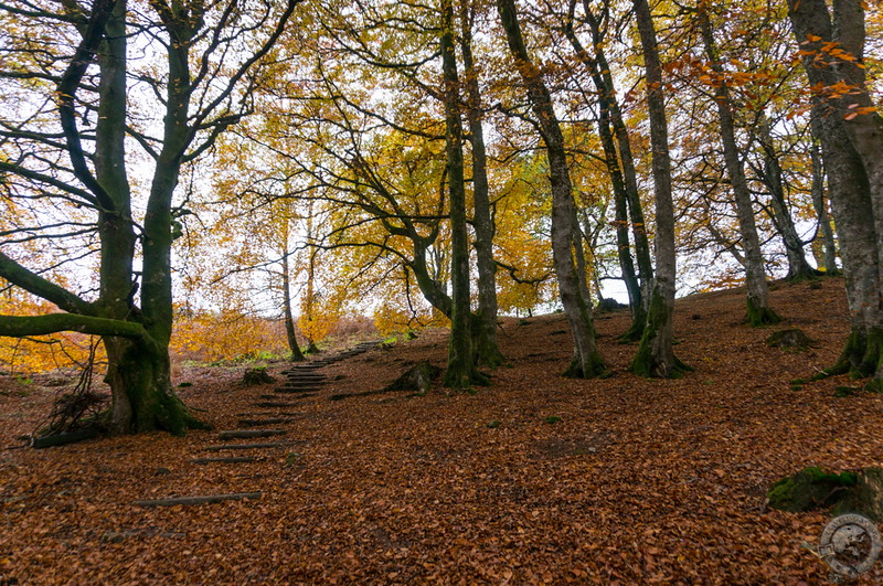 Steps in the hills