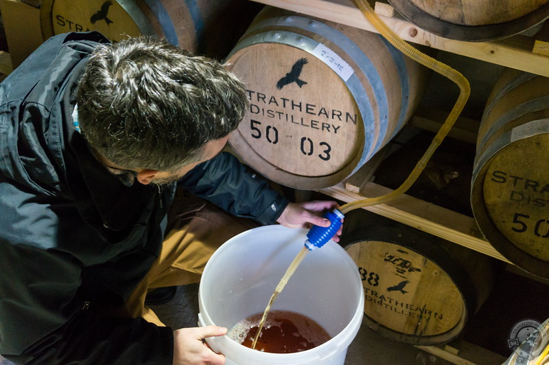 Yours truly emptying cask 50-03 for bottling