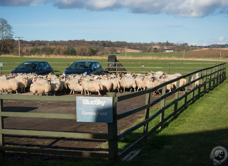 Work hazard at Strathearn Distillery