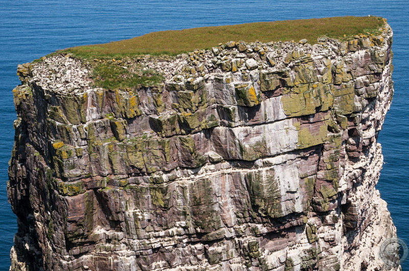 Puffin-viewing seastack