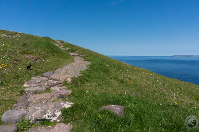 Skyward path