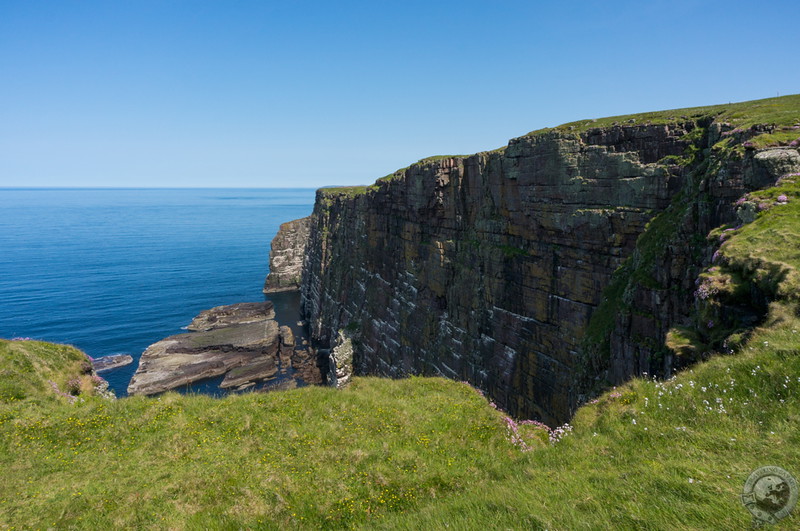 Steep cliffs are bird homes