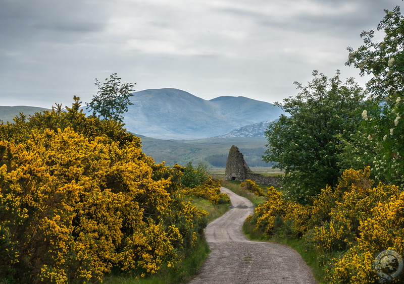 Dun Dornaigil Broch, standing yet