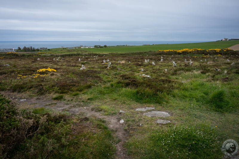 The Hill O'Many Stanes