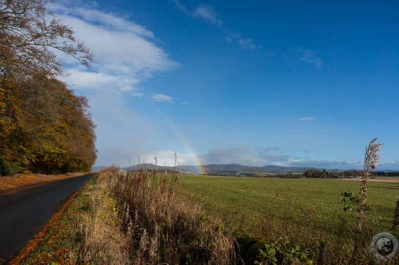 Rainbow!