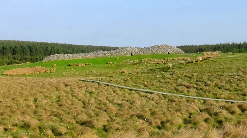 The Grey Cairns of Camster