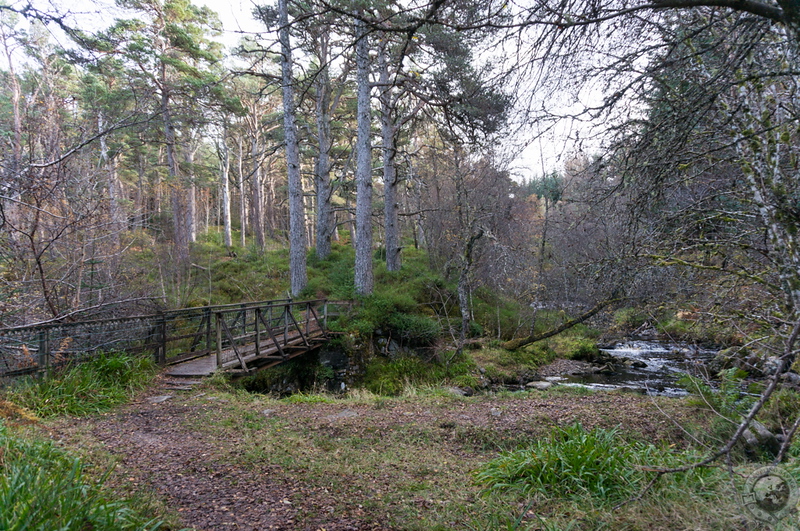 Streams and bridges