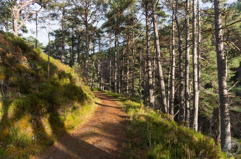 The sun-splashed path back