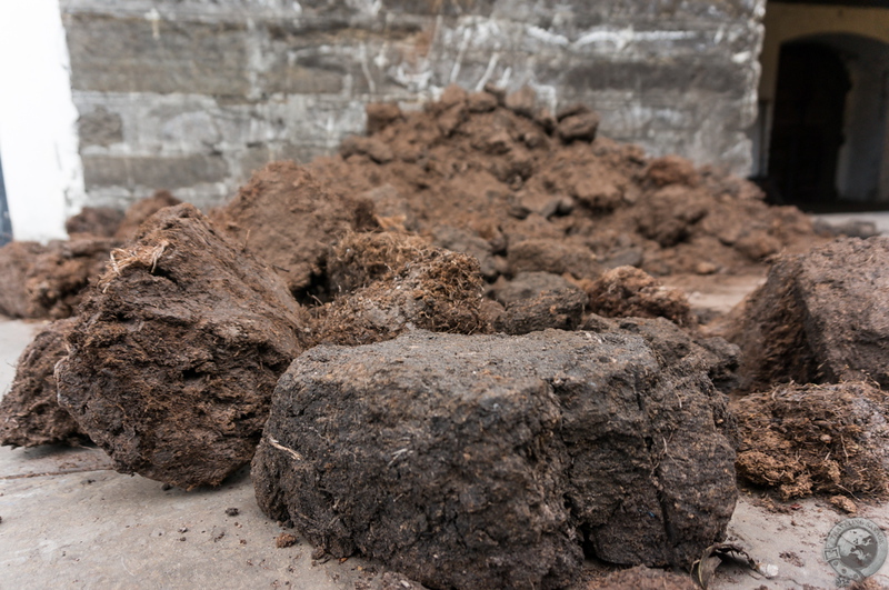 Beautiful hunks of peat