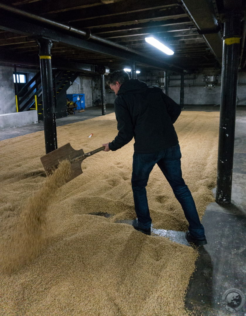 Traveling Savage hand-turning the malt