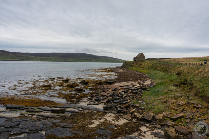 The coast along Eynhallow Sound