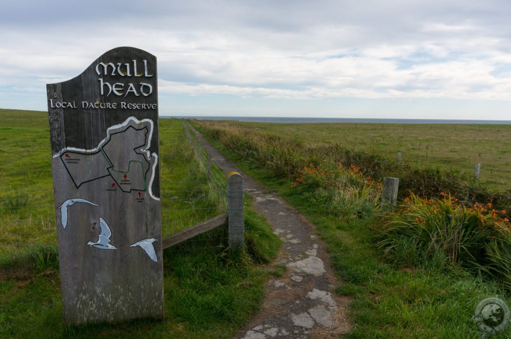 Brough of Deerness, Orkney Islands, Scotland